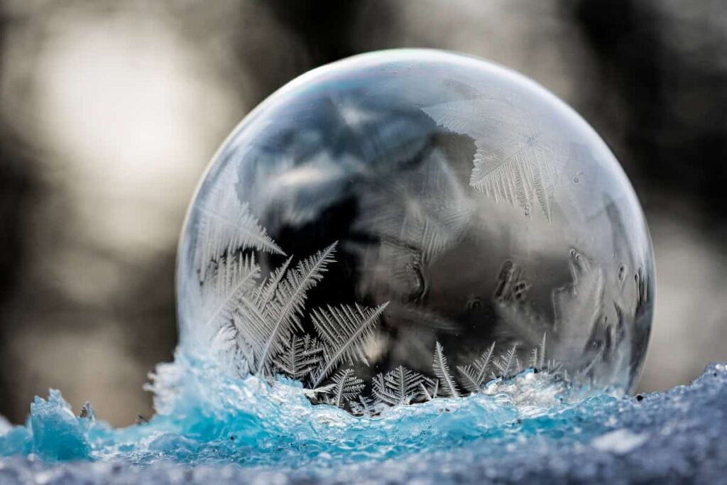 Why Freeze Speed Matters More Than Most Companies Realise